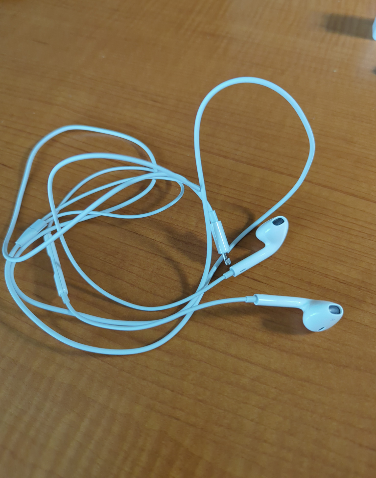 Apple Headphones (Lightning Cable)