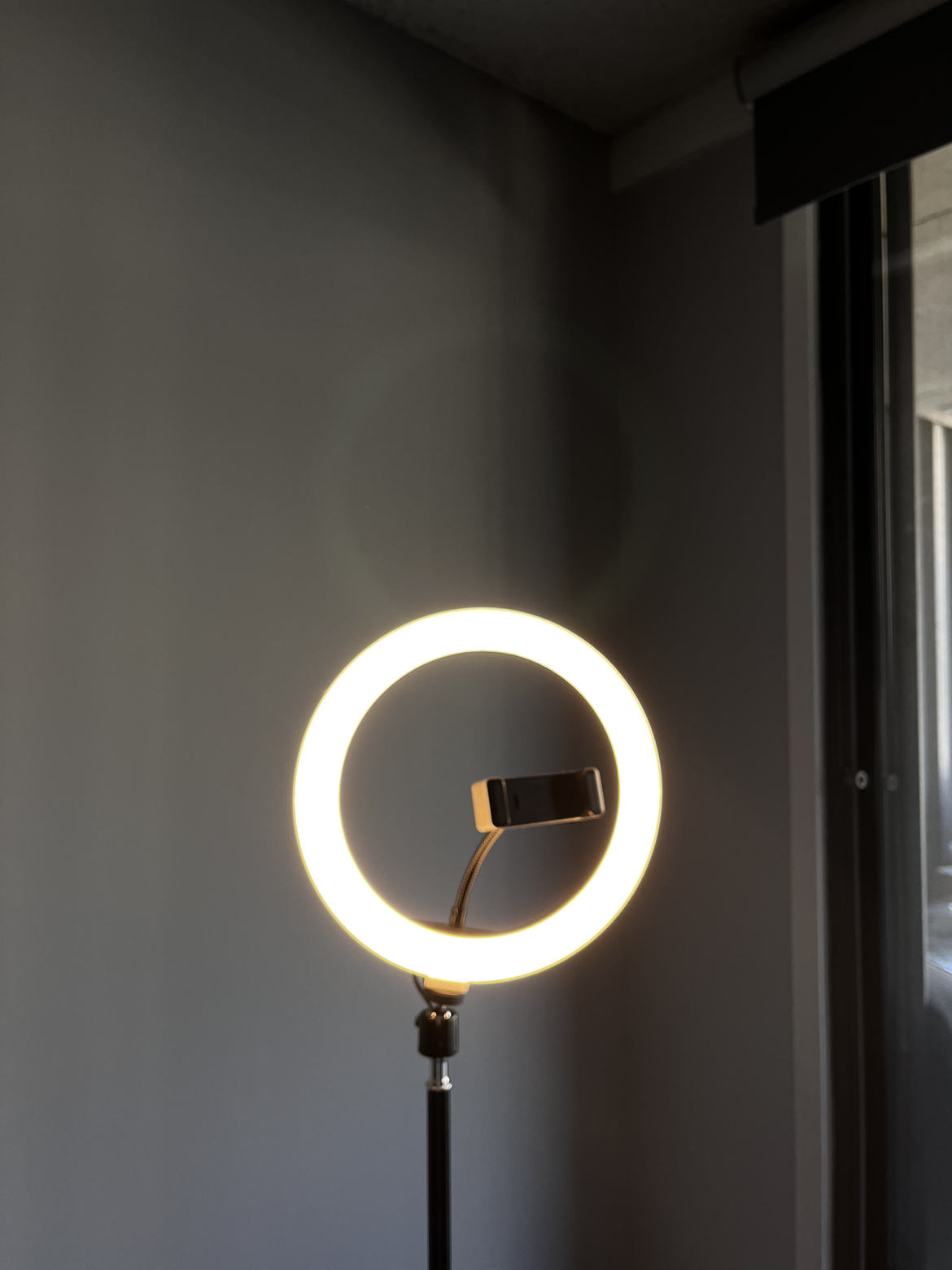 Selfie Ring Light with Phone Holder - photo 5