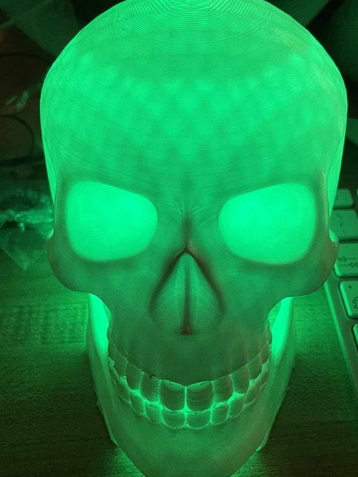 Cool light up Skull with tons of different light modes - photo 5