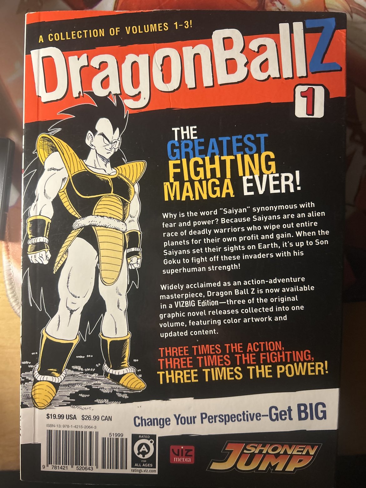 dragonballz vol 1 manga image indicator(2)
