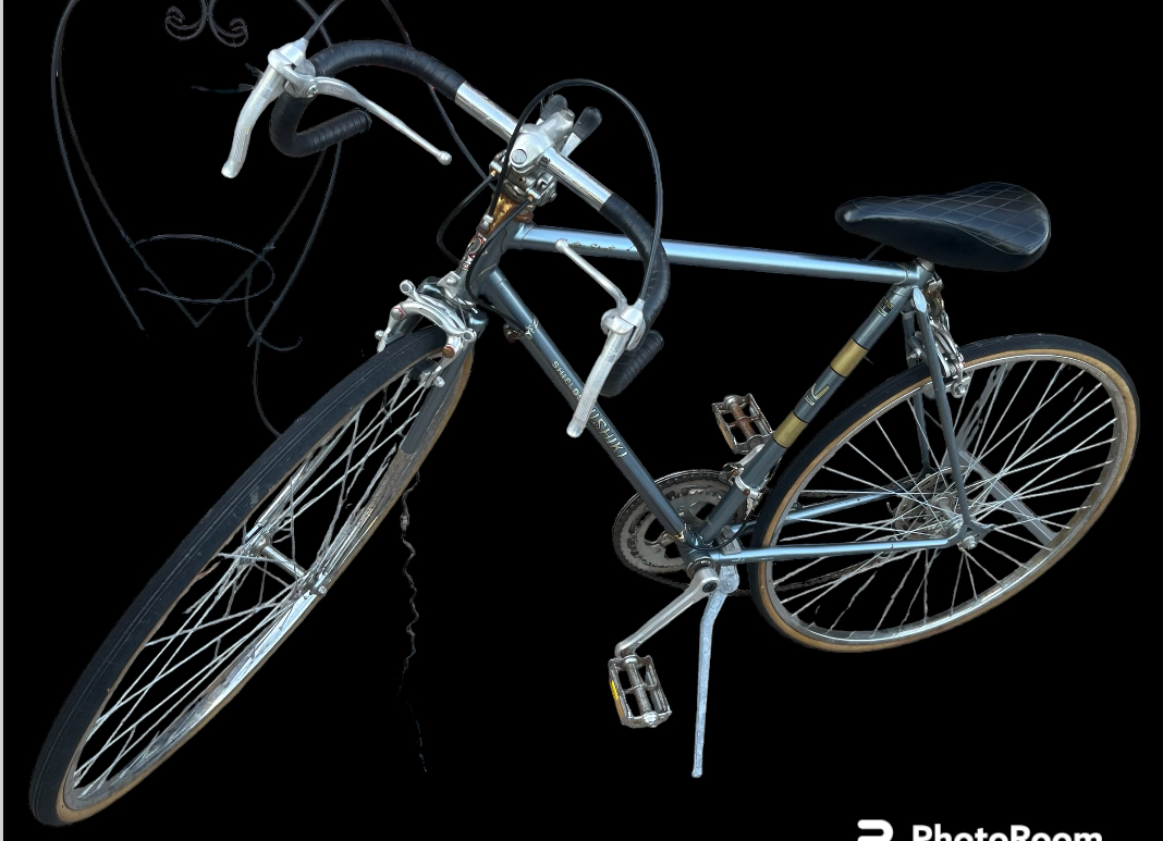 Vintage shield nishiki road bike image indicator(8)