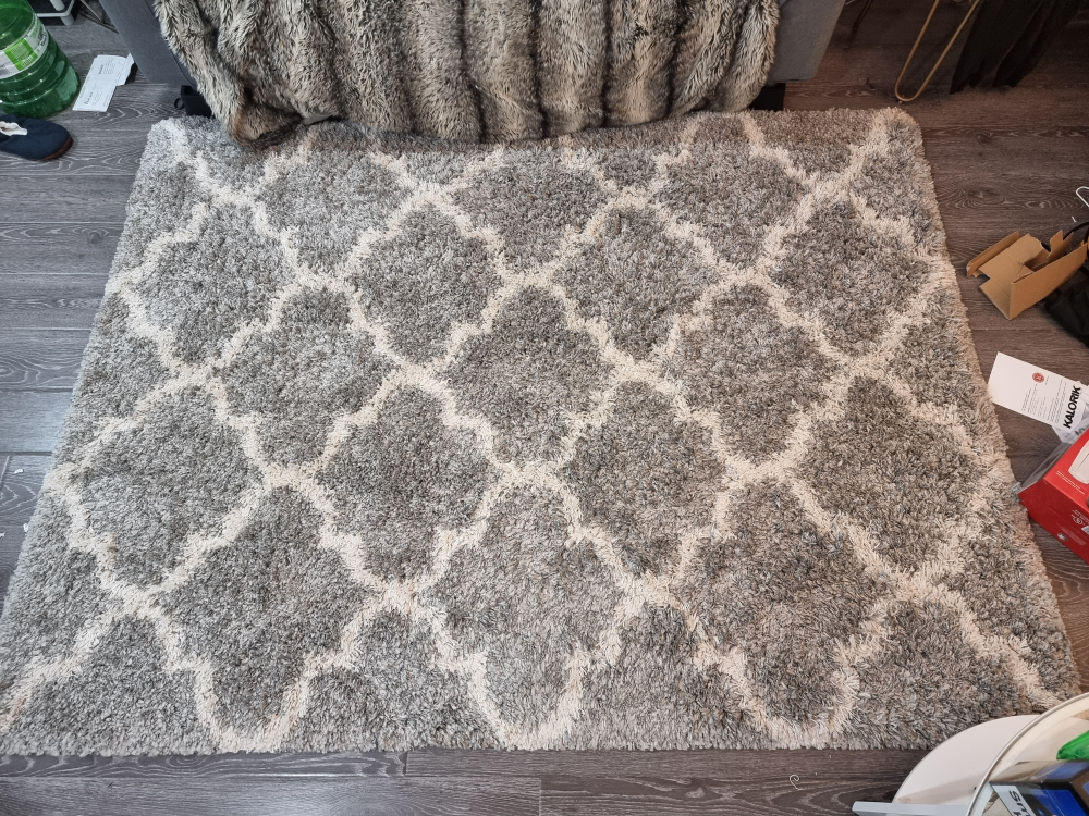 Area Rug - photo 2