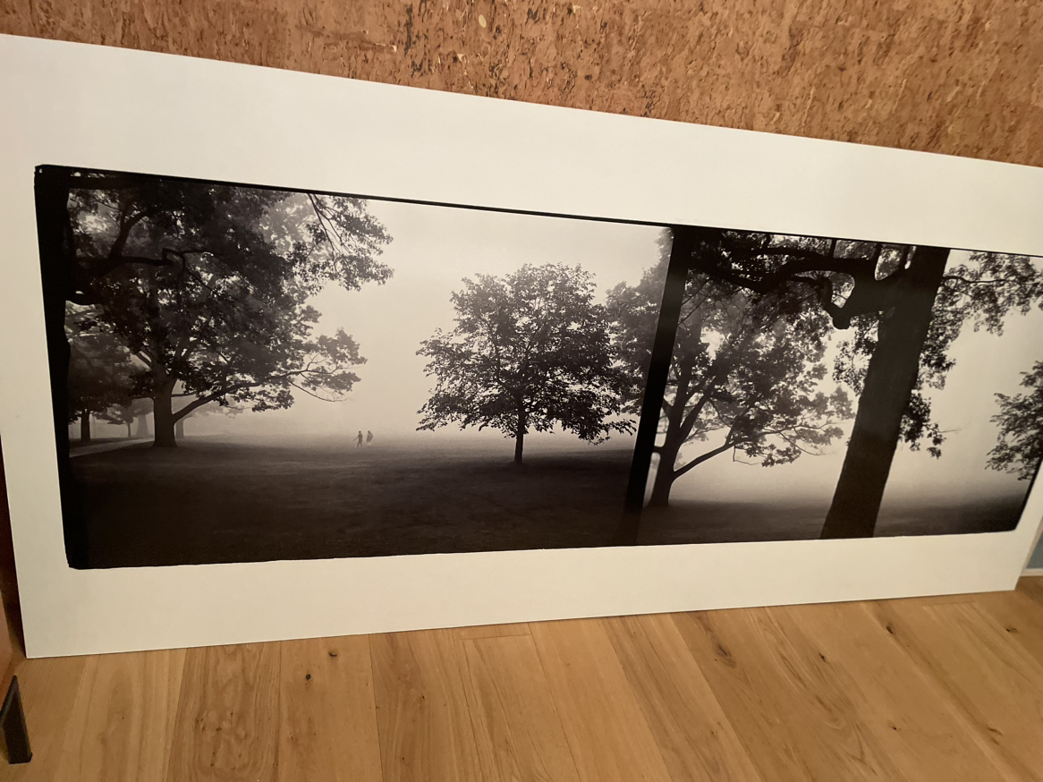 Large wall art. Photos of High Park 95.5”l 43.75”h