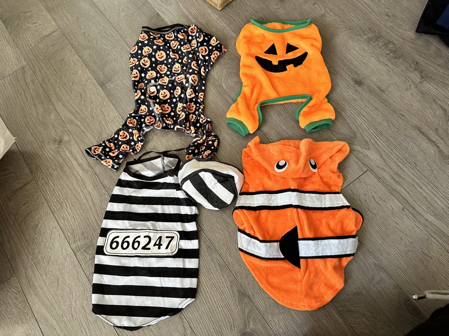 Halloween dog outfit
