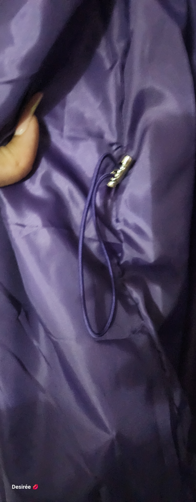 spring/rain coat image indicator(3)