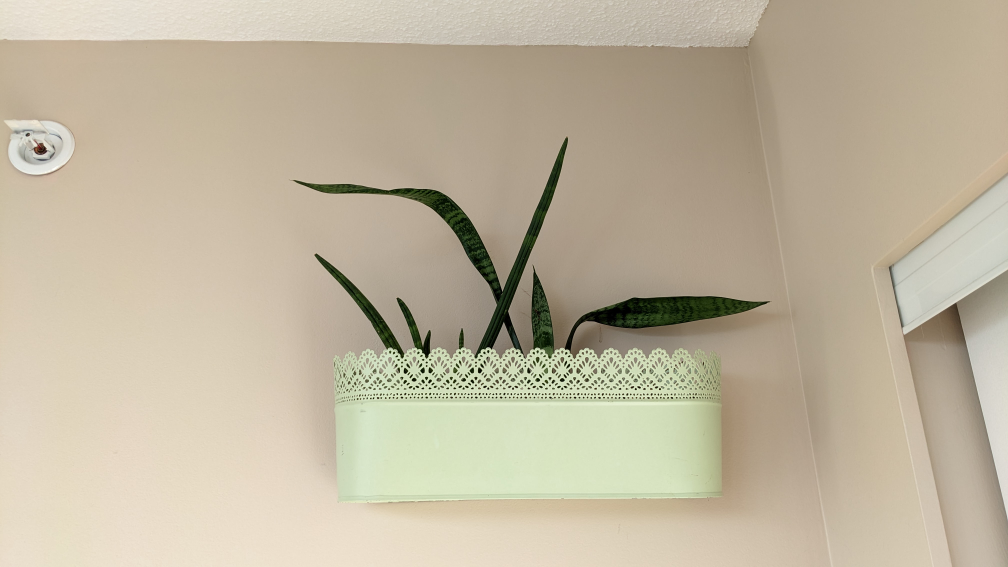 planters🥕 image indicator(4)