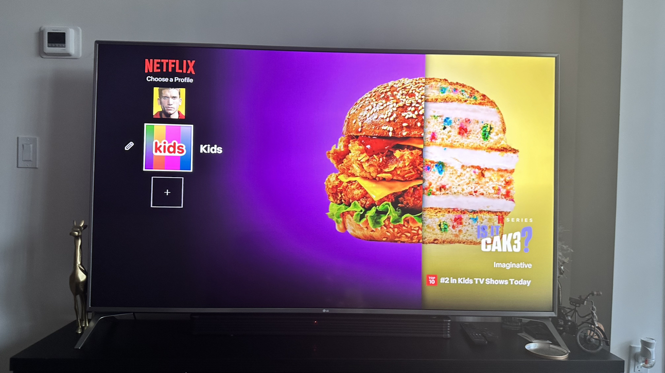 Television - photo 2
