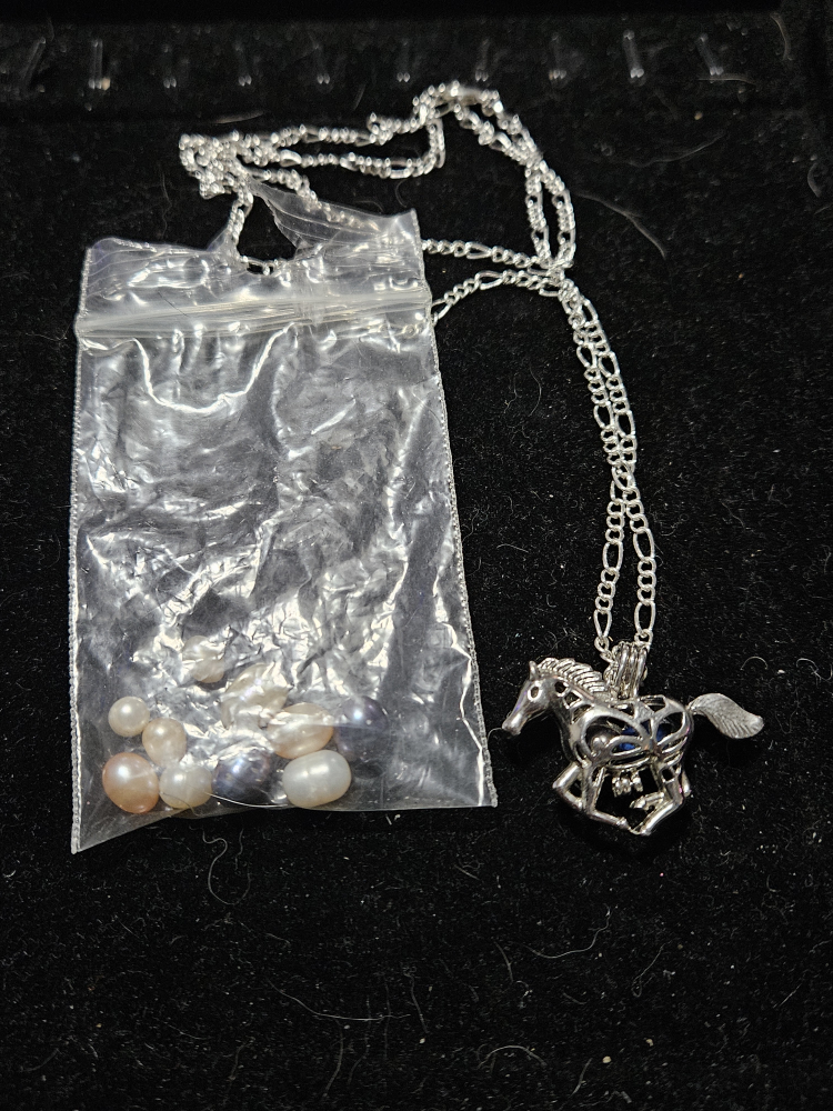 horse pearl cage image indicator(2)