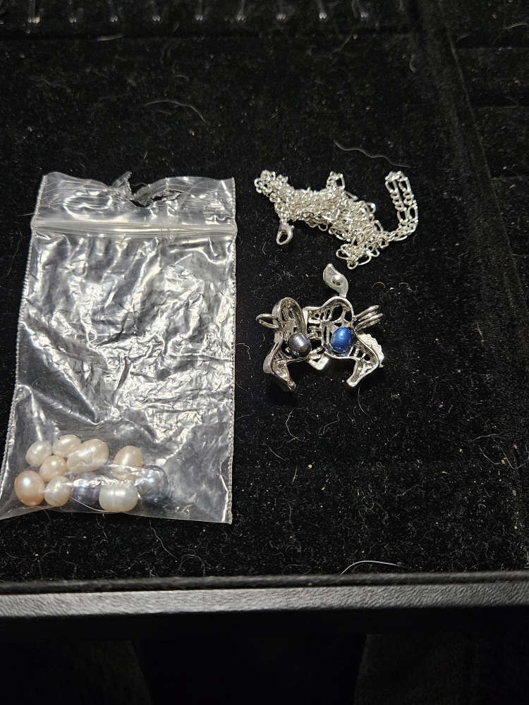 horse pearl cage image indicator(3)