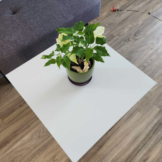 FREE - Moving Sale - White Coffee Table - photo 2