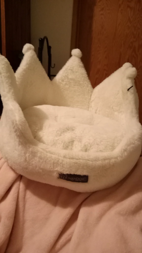Dog or Cat bed