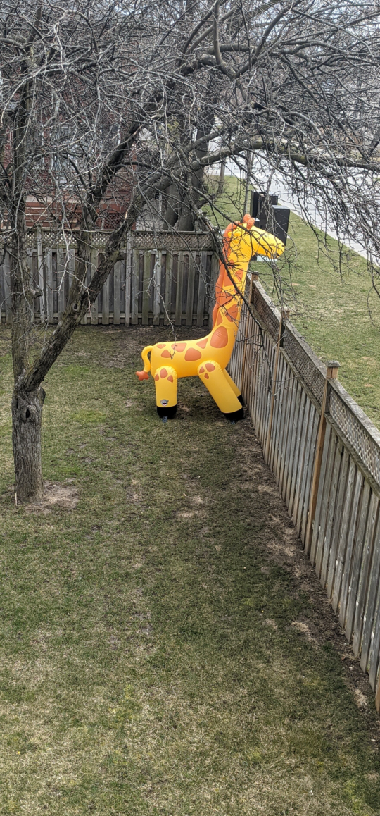 Outdoor Play  Ginormous Giraffe Yard Sprinkler - photo 2