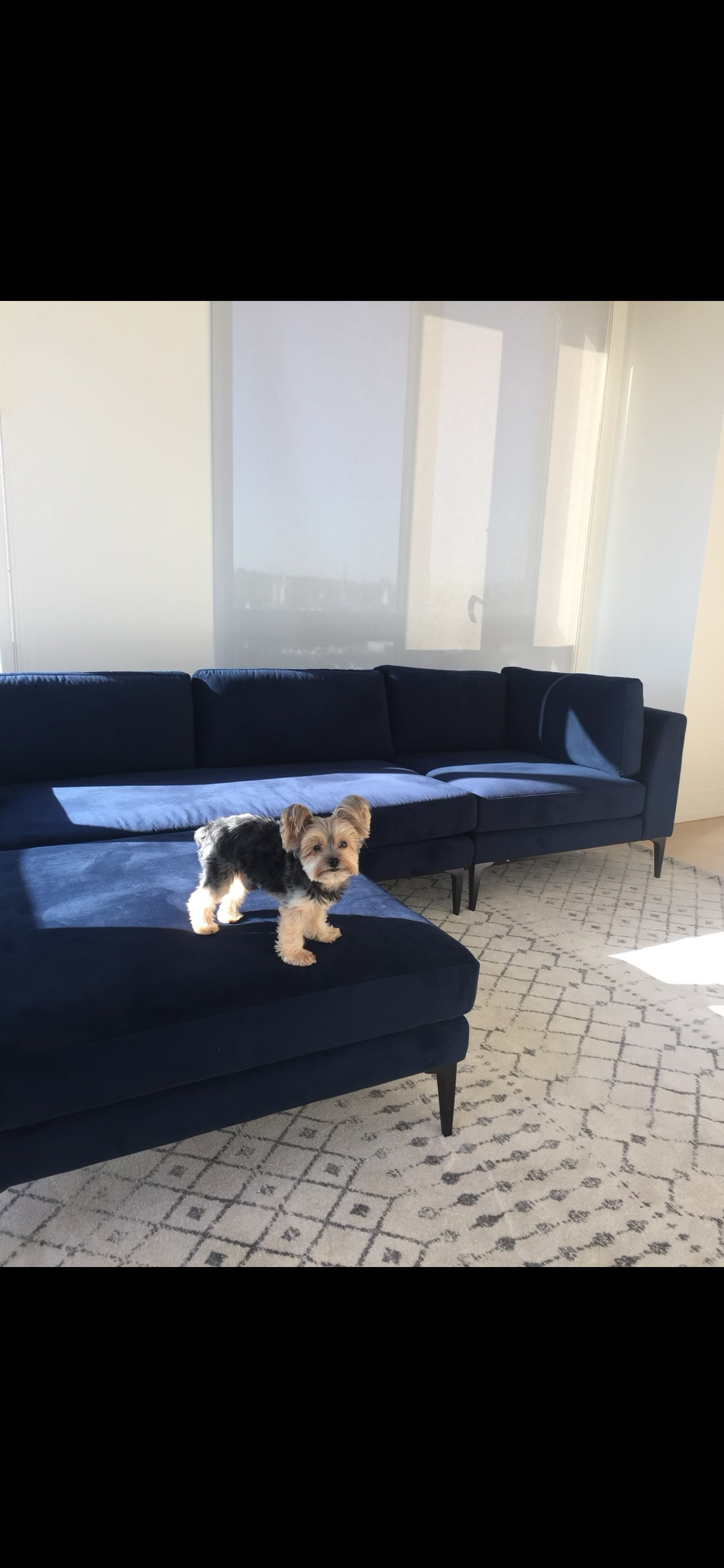 West Elm Couch - photo 3