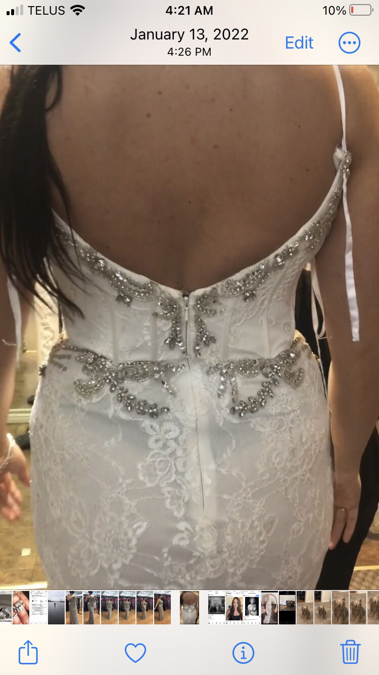 Beautiful French Lace Crystal Gown image indicator(3)