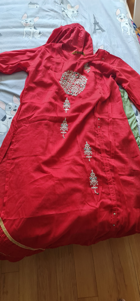 Indian Punjabi suit dress