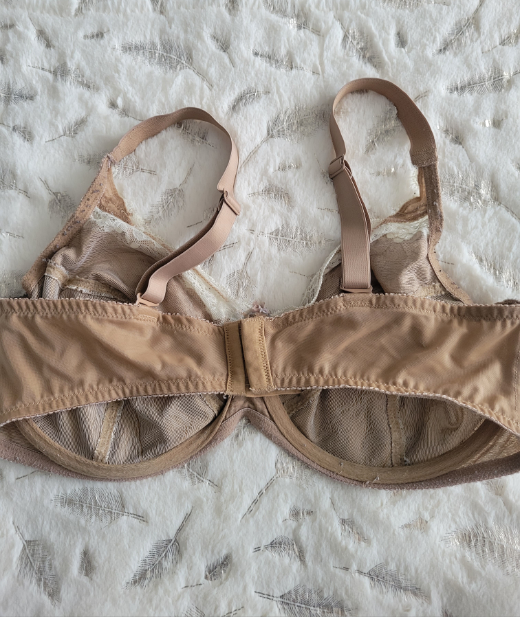 Ladies Bra image indicator(3)