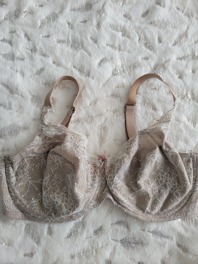 Ladies Bra image indicator(5)