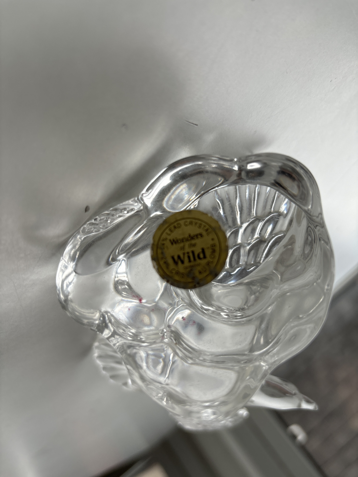 🥕Vintage Wonder of the Wild🥕 image indicator(5)