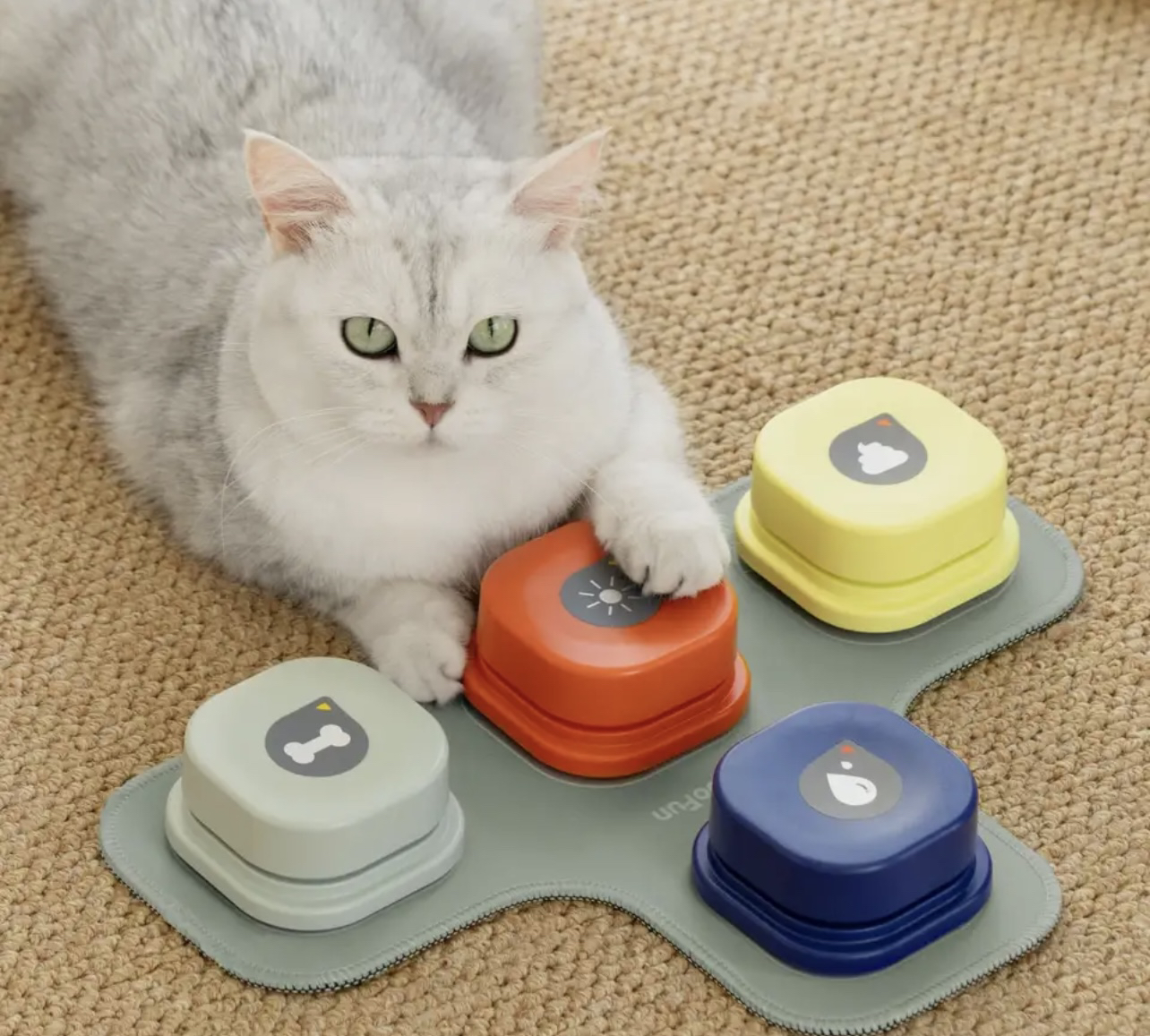 Dog Button Record Talking Pet Communication Vocal Training thumbnail