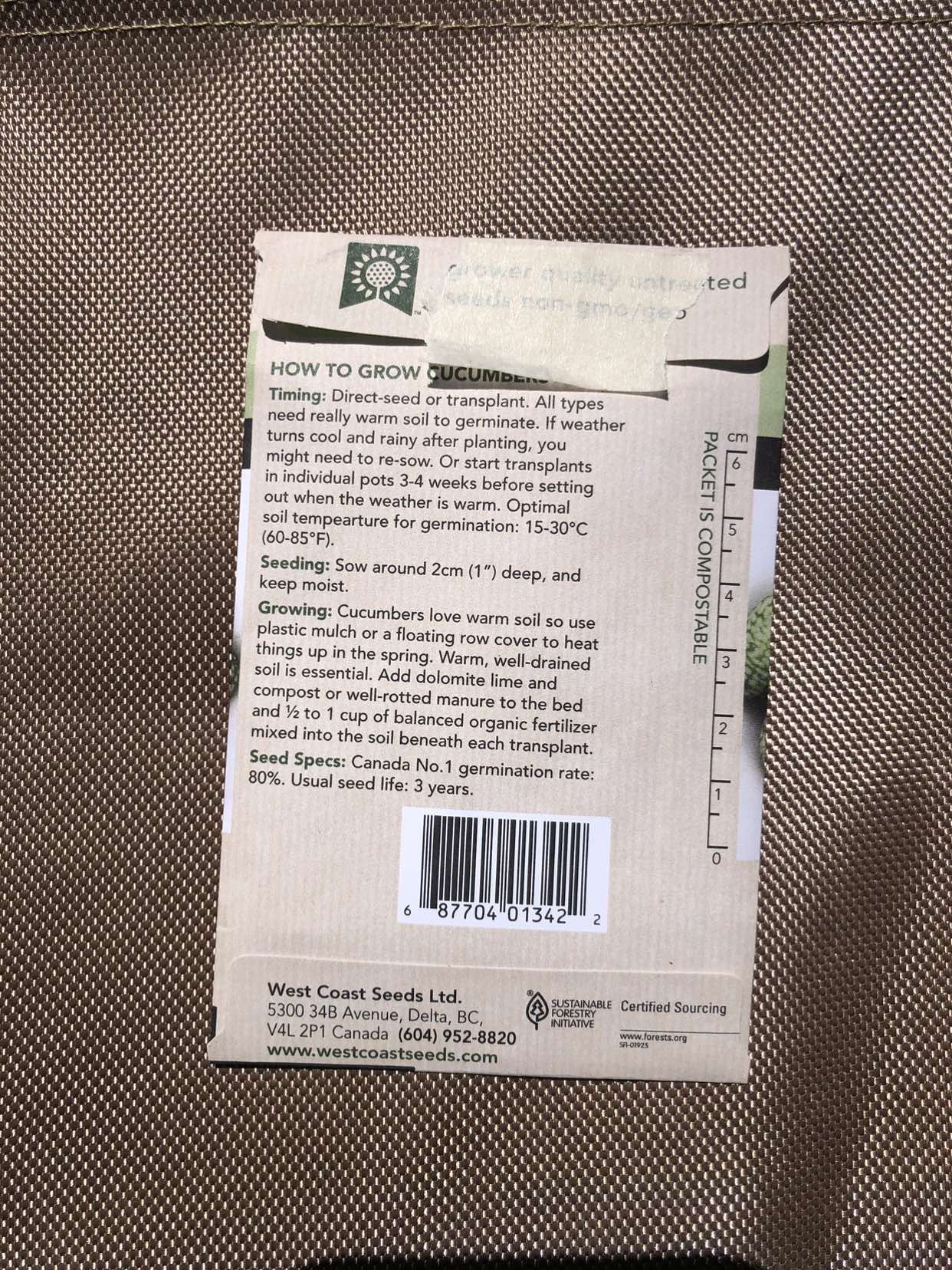 Cucamelon seedlings (open to trades) image indicator(6)