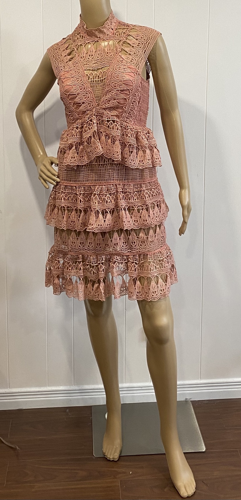 Pink Dress image indicator(7)