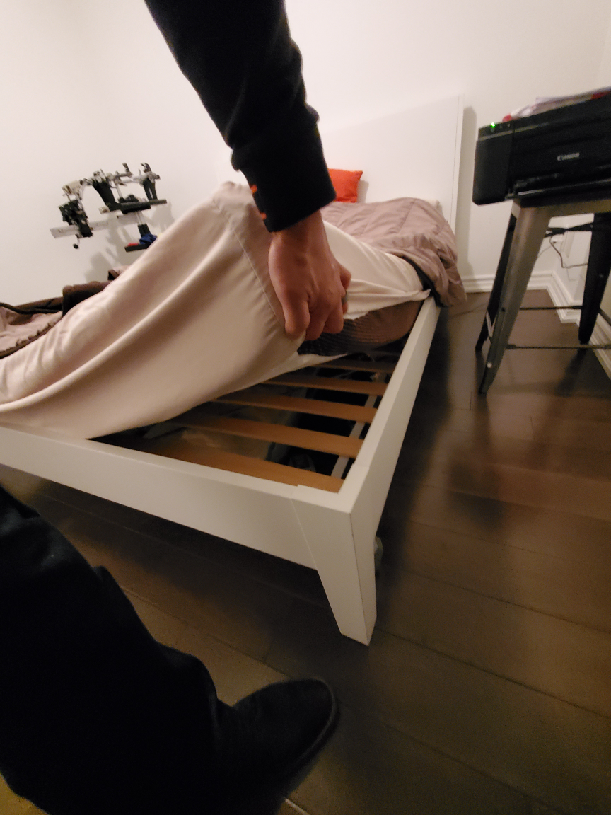 Sofa(2 pcs), queen bed frame, mattress, shag carpet image indicator(5)