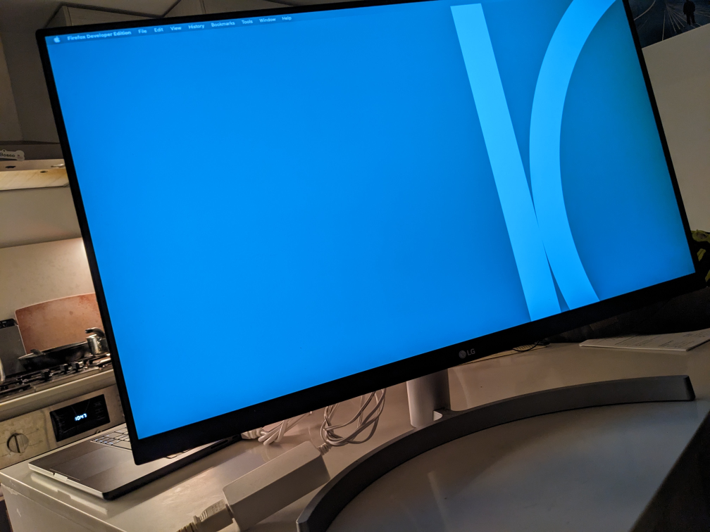 LG 28" monitor