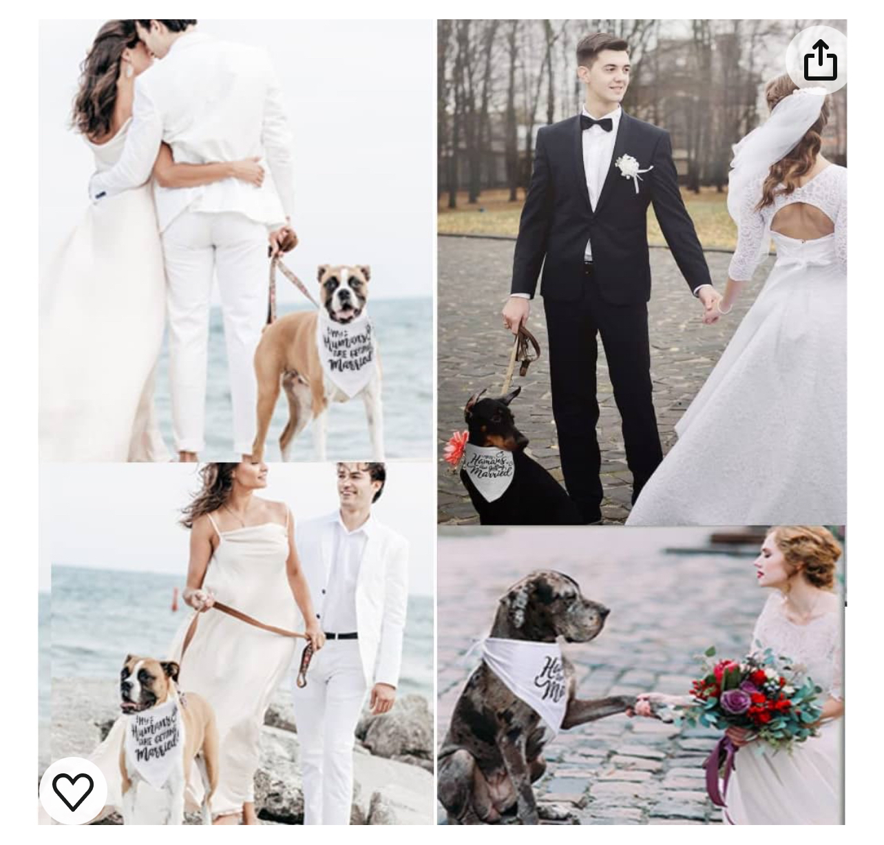 Dog Scarf; Wedding Scarf (NEW) image indicator(6)