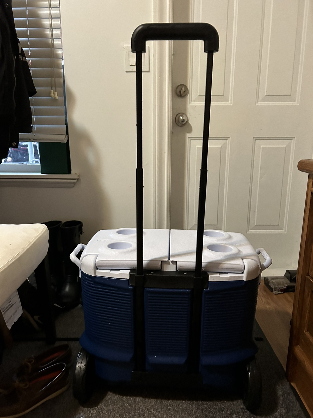 Rubbermaid cooler - photo 2