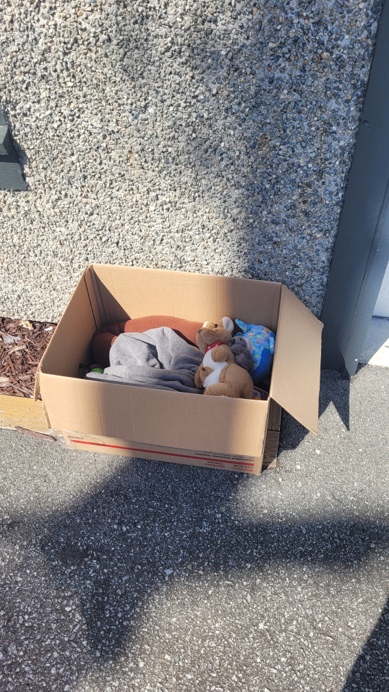 Free assorted items