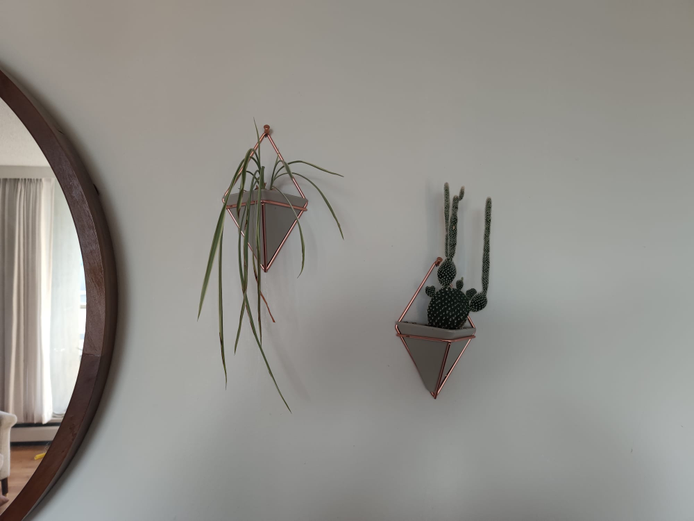Wall hanging plants + pots thumbnail