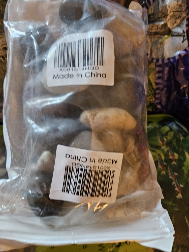 Terrarium supplies - photo 2
