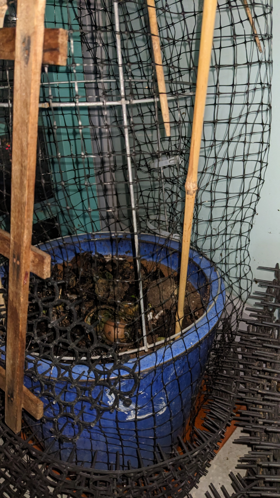 planters🥕 image indicator(2)