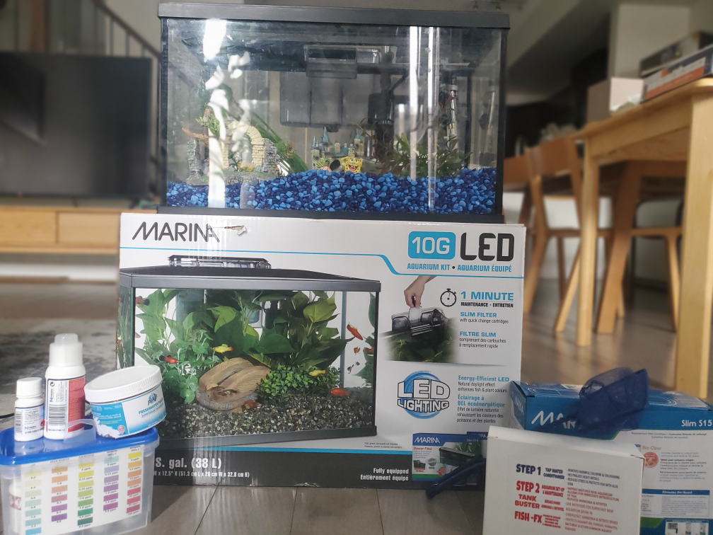 10G LED aquarium & supplies
