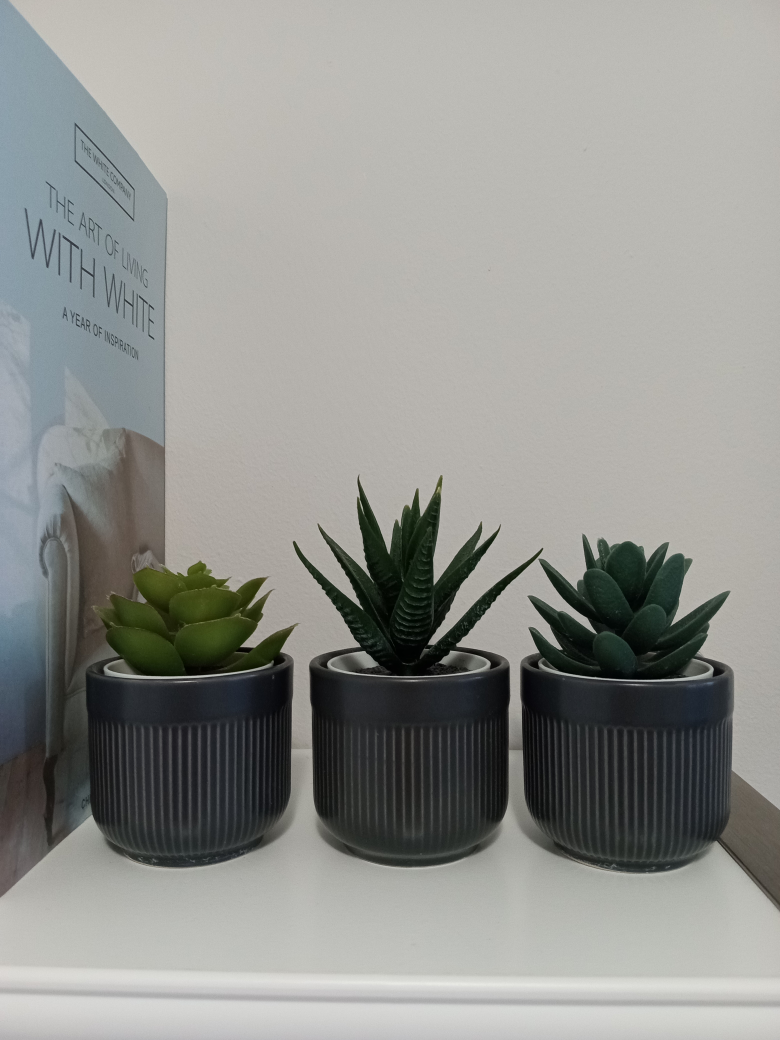 Set 3 small pot plant Ikea thumbnail