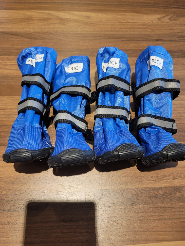 dog Botties thumbnail