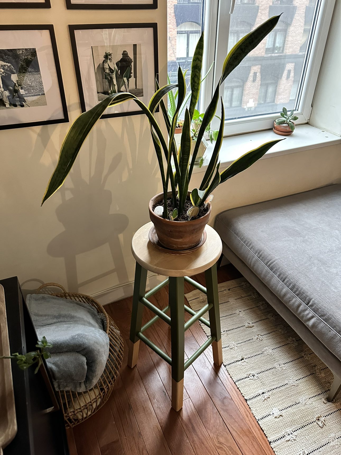 Bar Stool Plant Stand - photo 4