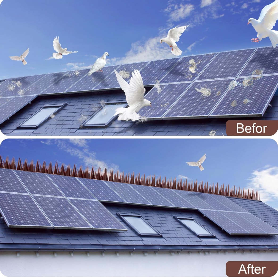 Bird Spikes kit image indicator(6)