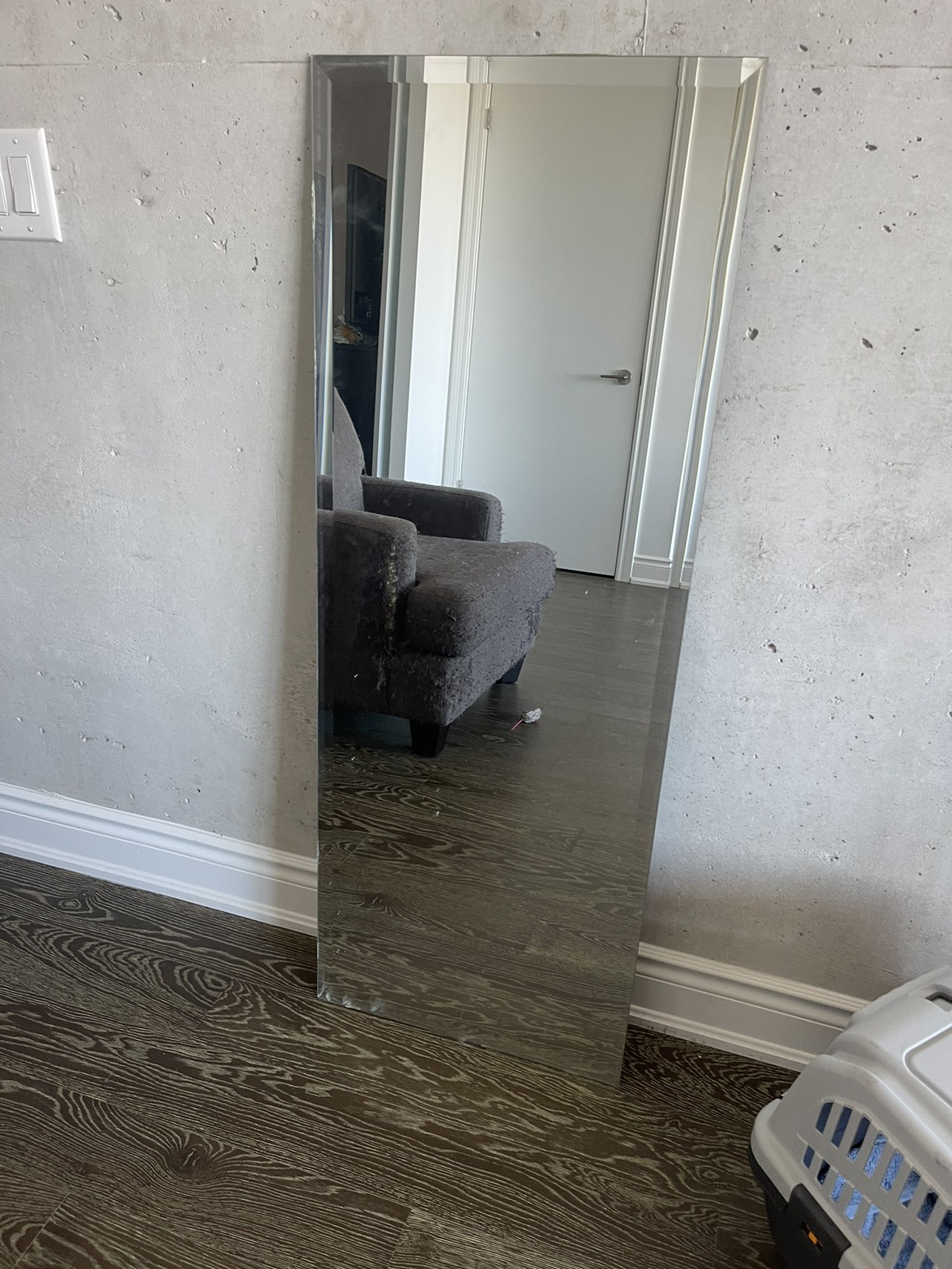 Free mirror