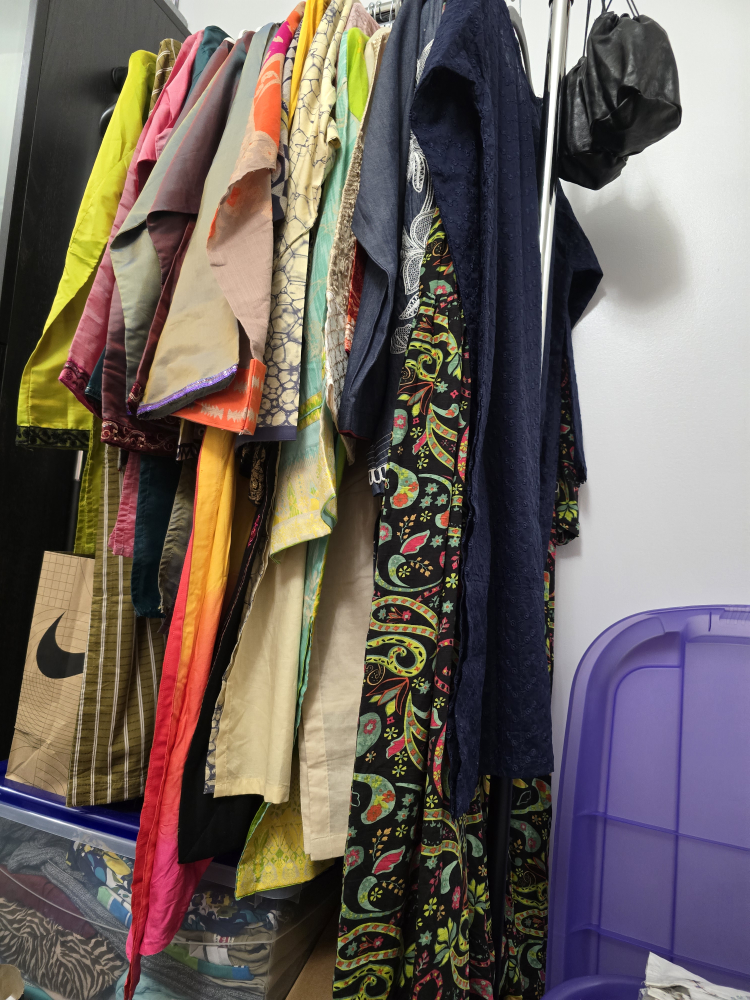 Pakistani outfits for Eid image indicator(4)