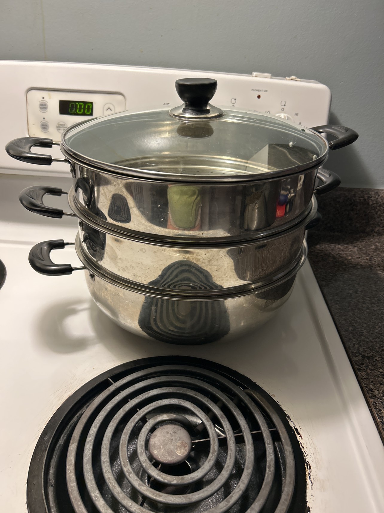 Medium size steamer