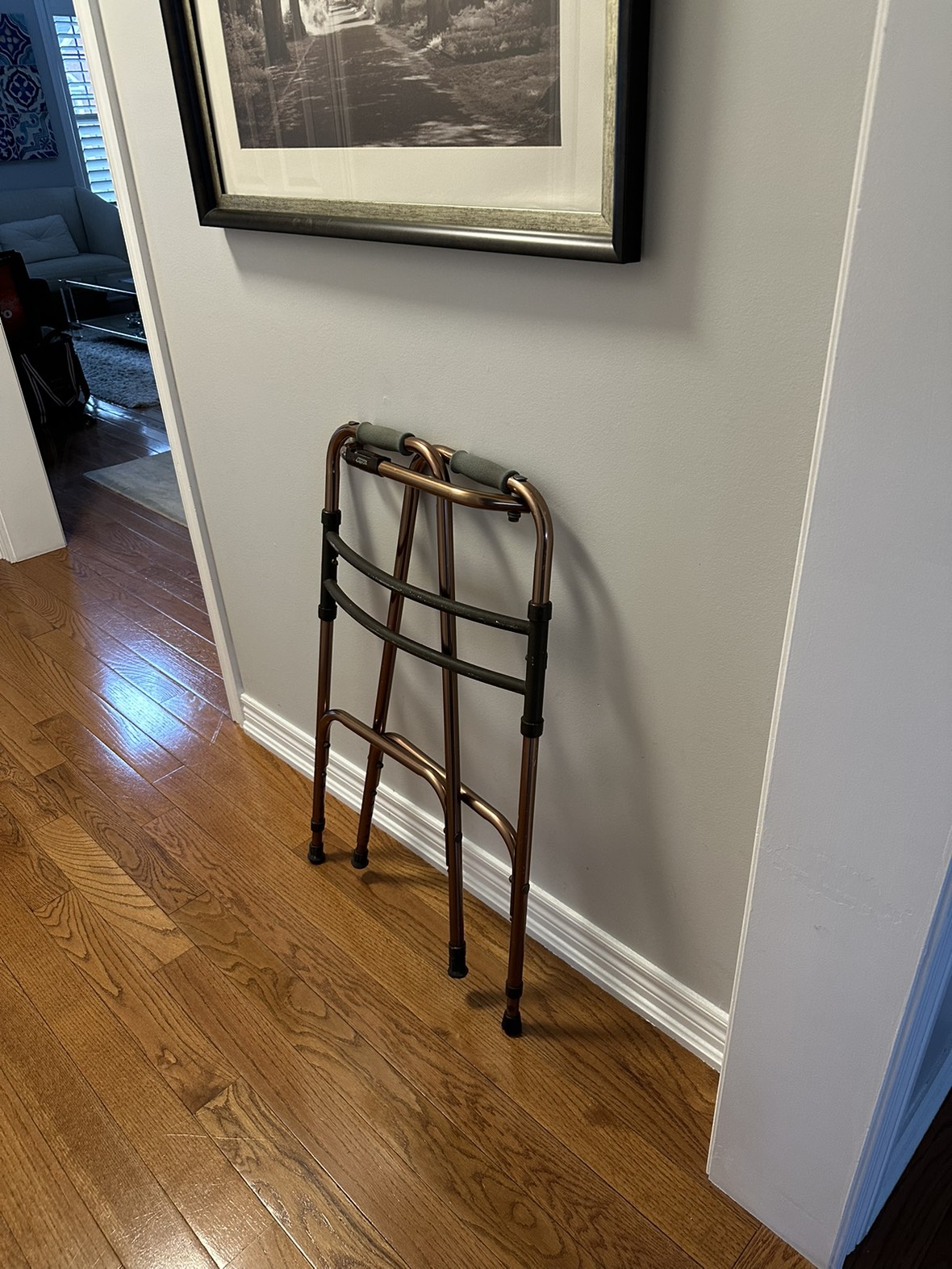 Walker for Seniors image indicator(8)