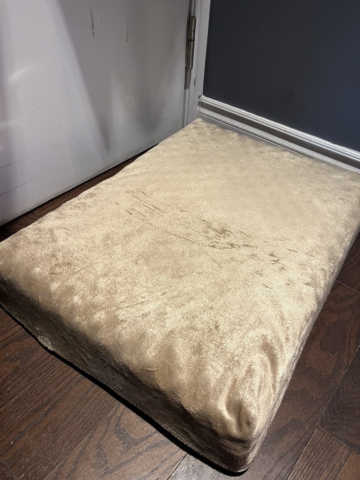 Dog bed thumbnail