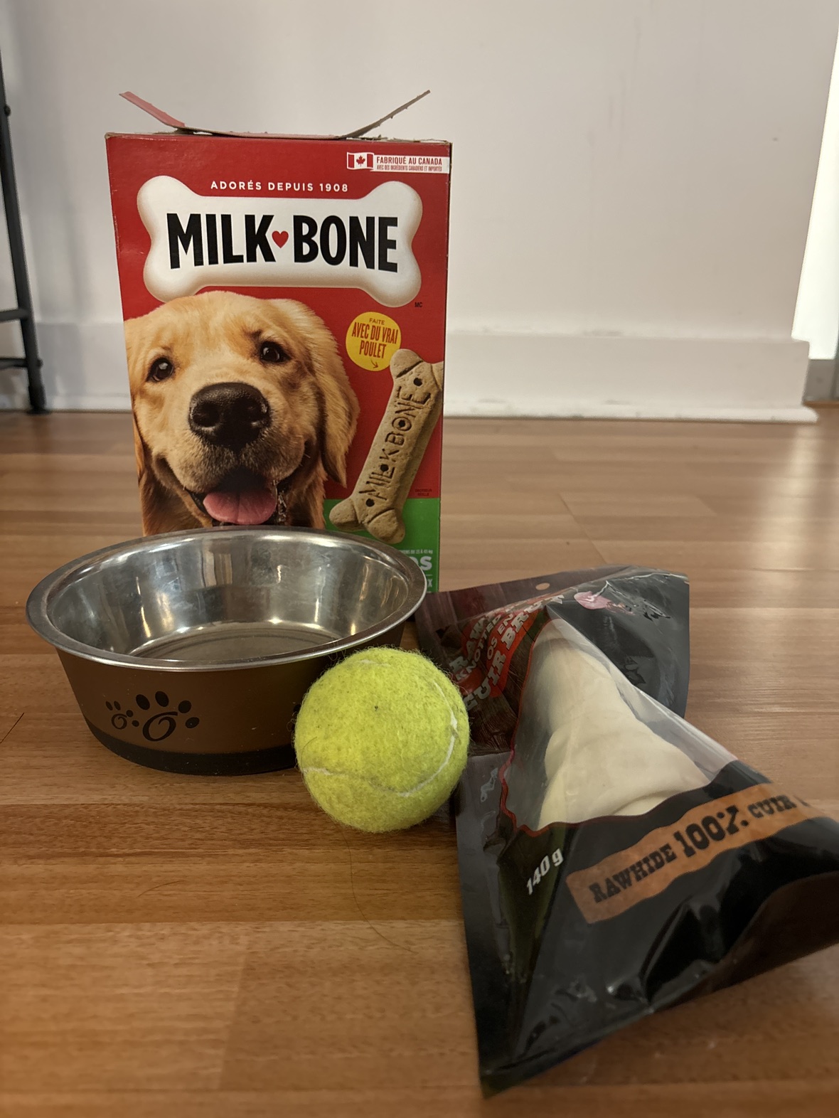 Dog