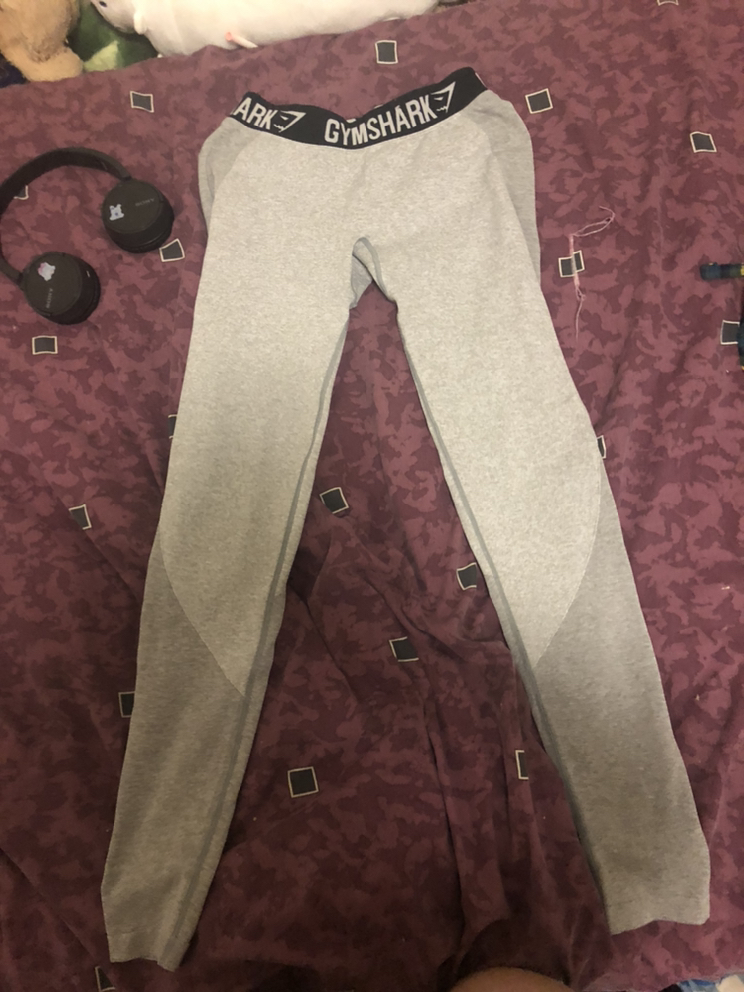 Gym shark leggings
