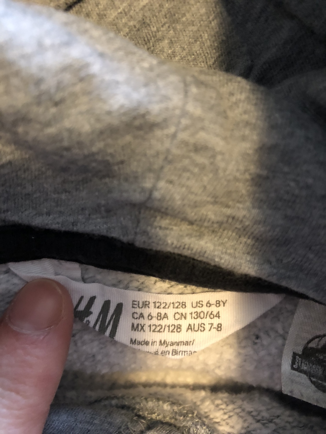 Kids hoodie Jurassic Park image indicator(2)