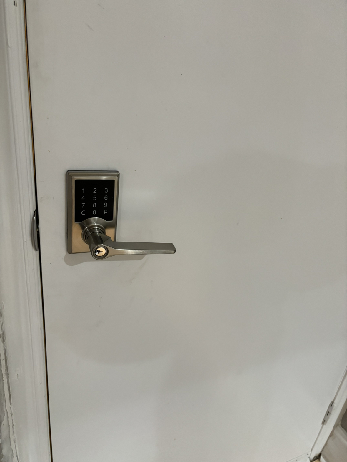 Electronic touchpad door lever lock image indicator(4)