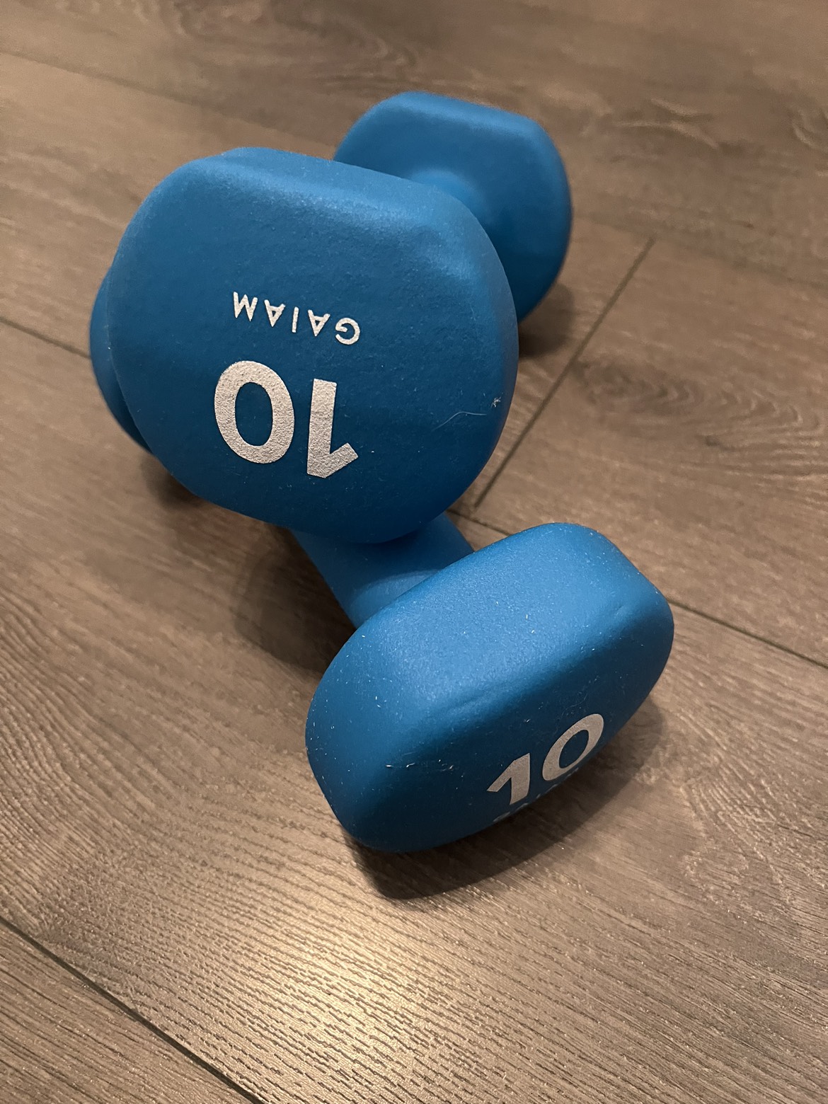 10 lb dumbbells thumbnail