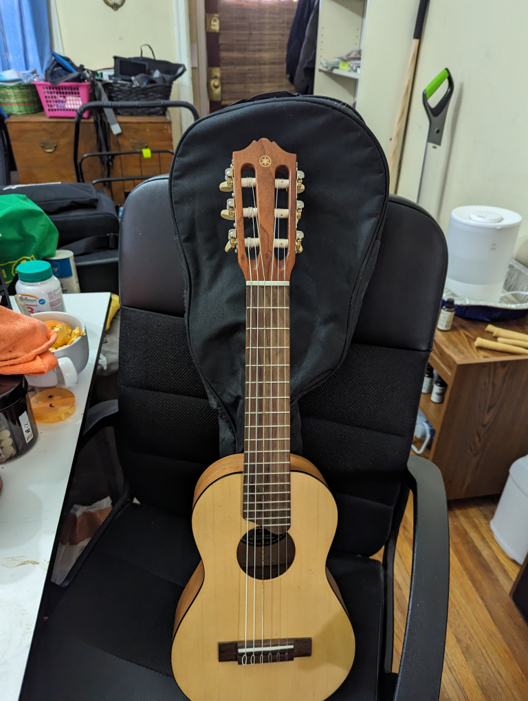 guitarlele with gig bag