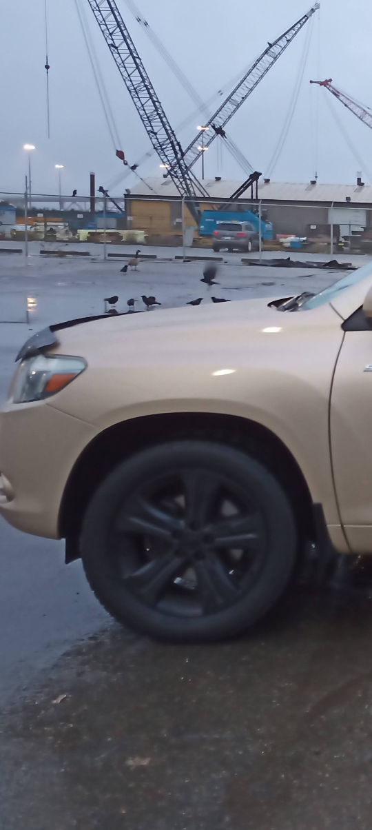 19' black Toyota Highlander stock rims